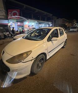 بيجو 307